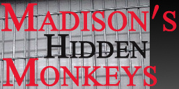 madison's Hidden Monkeys (2)