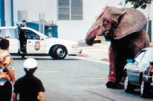 tyke elephant
