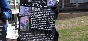 International Day for Britches Memorial Service April 19th – University of Toronto