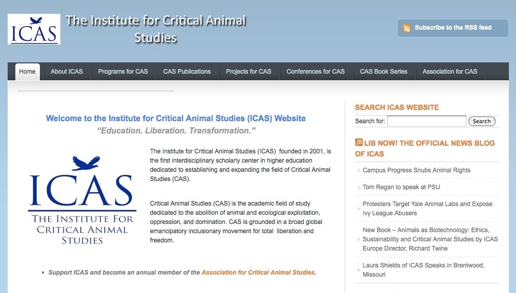 ICAS Website 66
