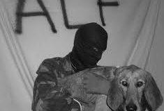 The ALF is the Original Direct Action Everywhere and Anonymous for the Voiceless