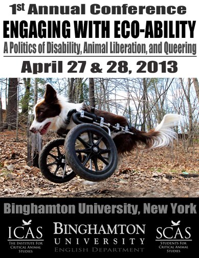 eco-ability flyer