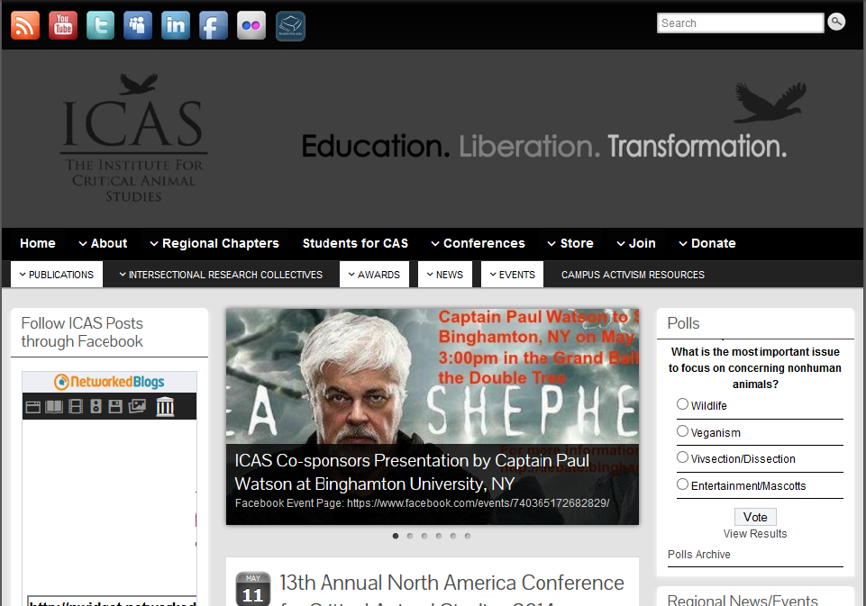 ICAS Website 77