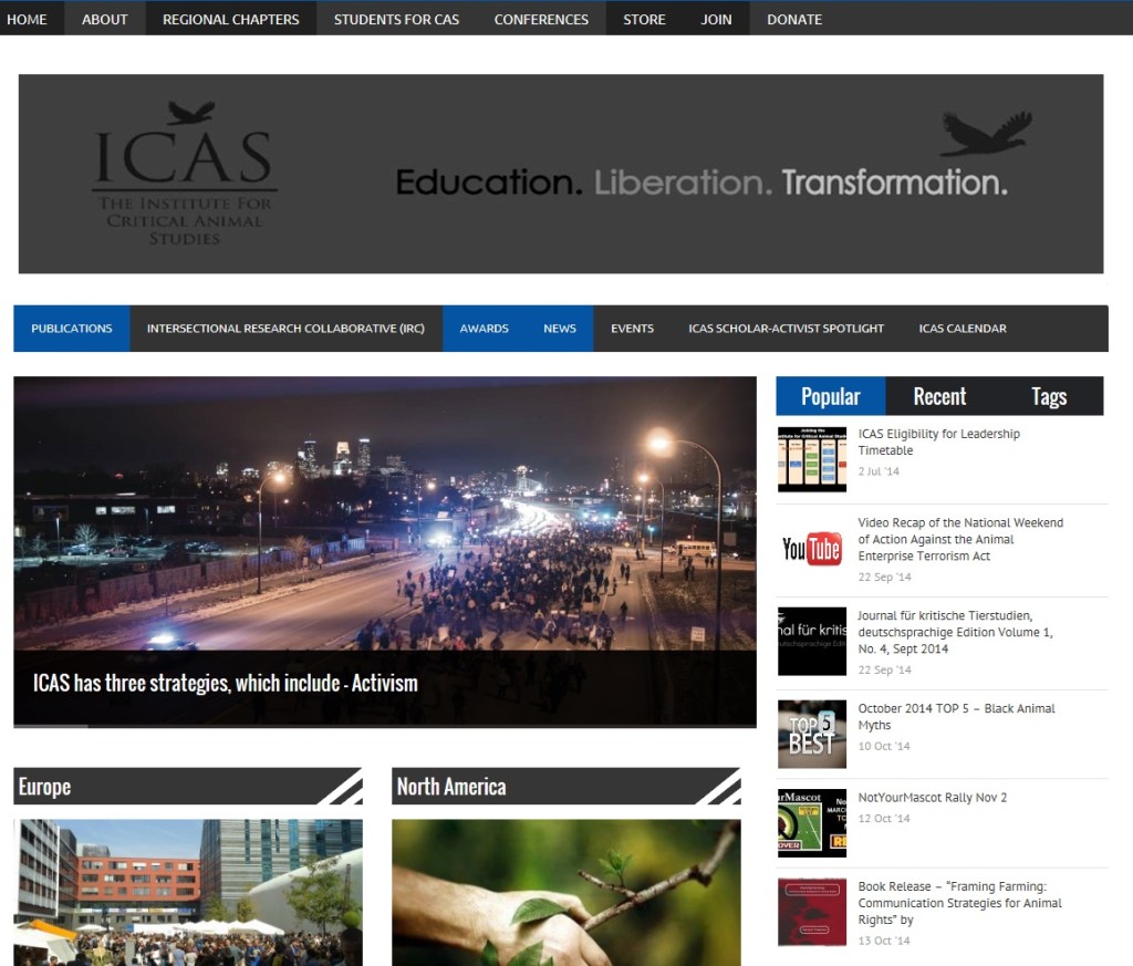 ICAS Website 9