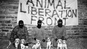 Animal Liberation Front Annotated Bibliography