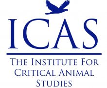 2019 Recipience of the ICAS Annual Scholar Awards